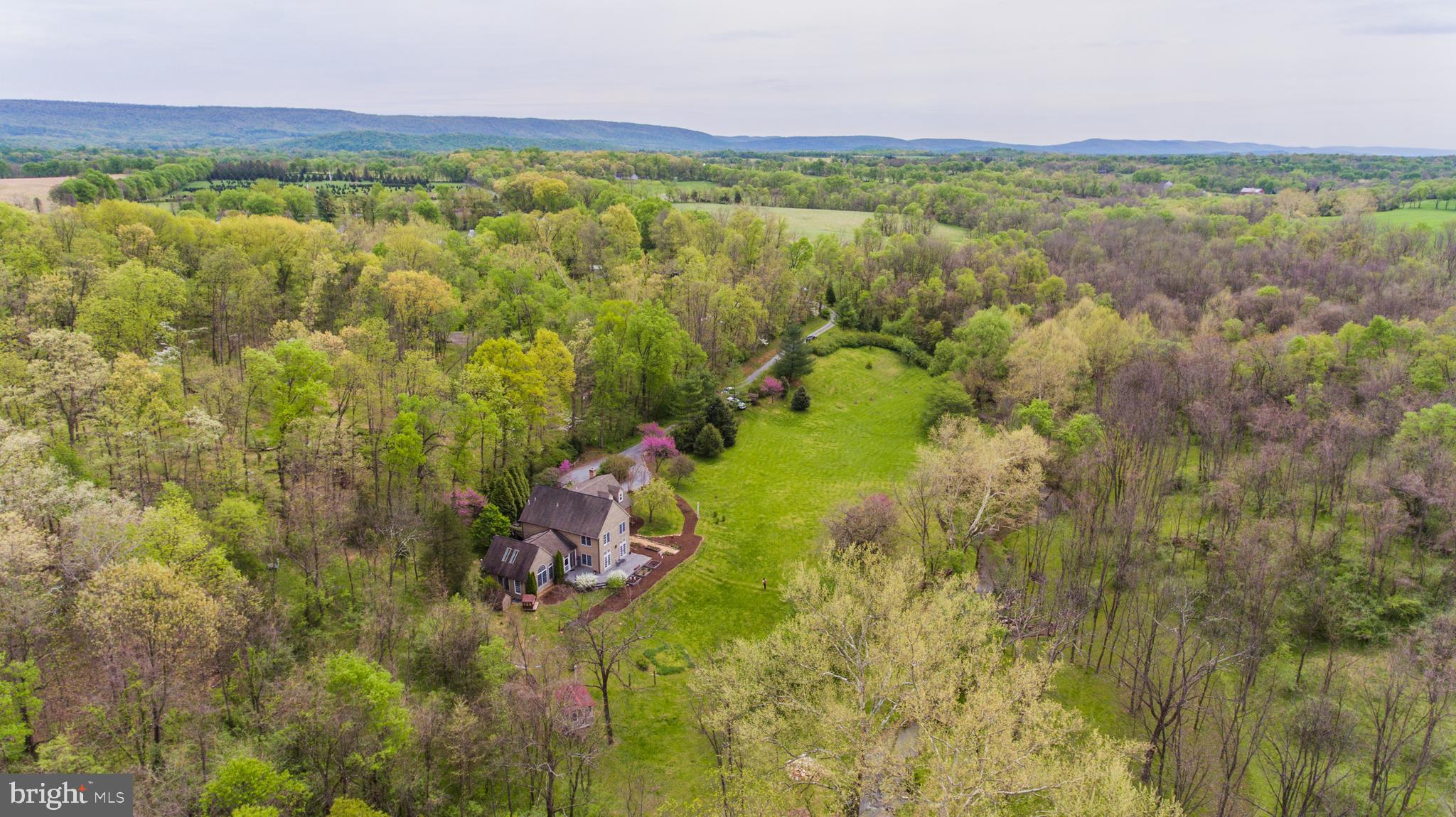 853 River Road Shepherdstown, WV 25443 - Photo 4 of 70 10 acres of pure privacy