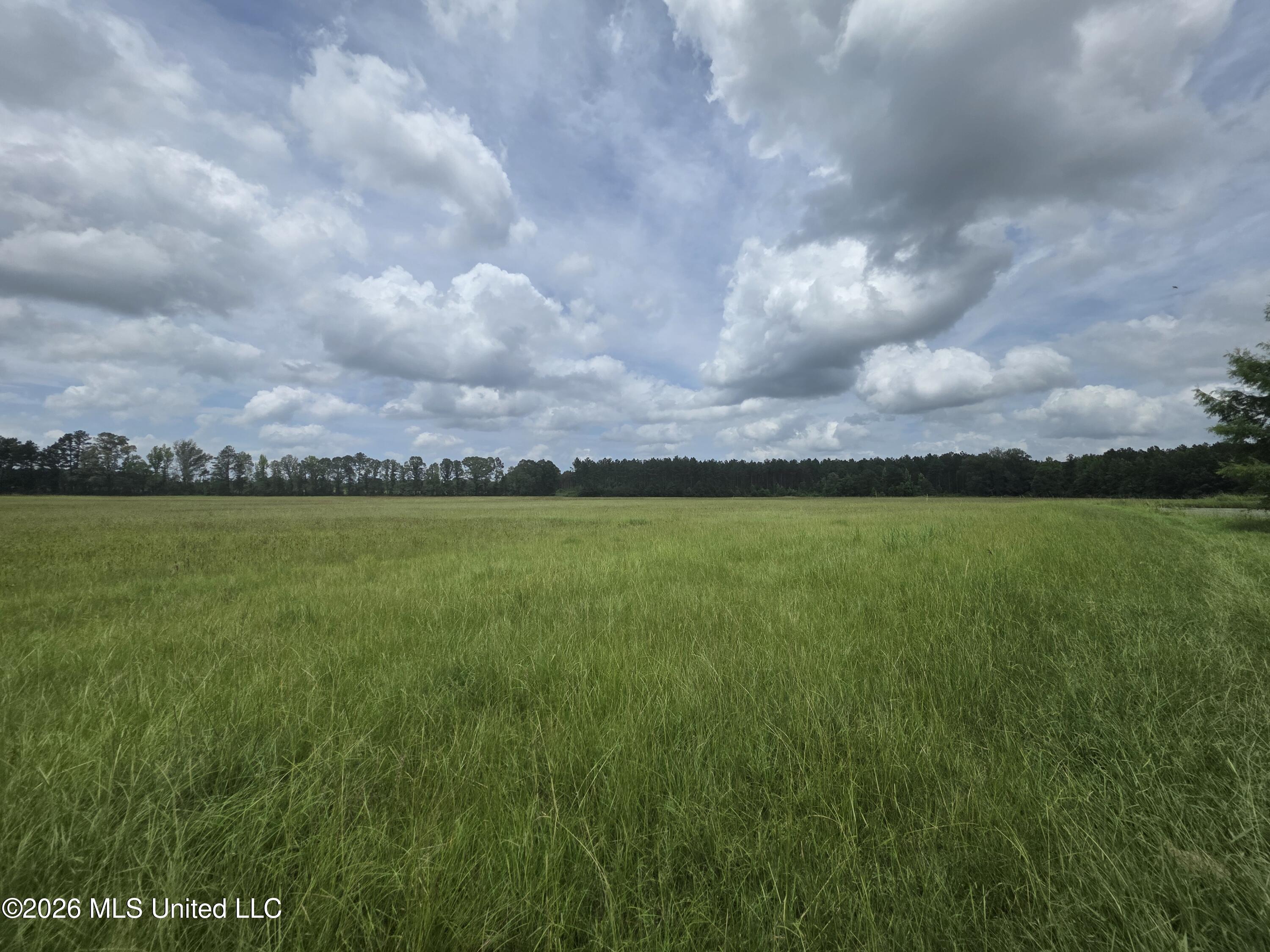 244 Foster Road Sontag, MS 39665 - Photo 50 of 105 35555