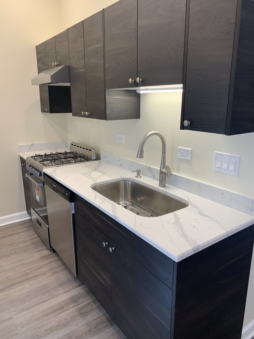 1303 West Flournoy Street, Unit 2R Chicago, IL 60607 - Photo 5 of 14