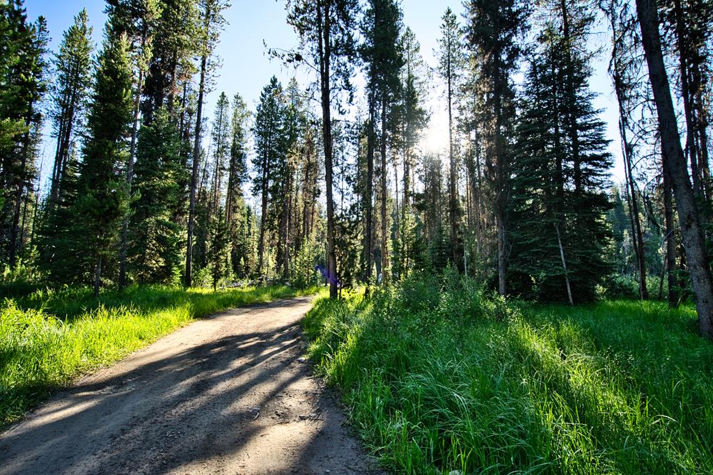 Tbd Tbd Secesh River Road, Unit 52 McCall, ID 83638 - Photo 15 of 18
