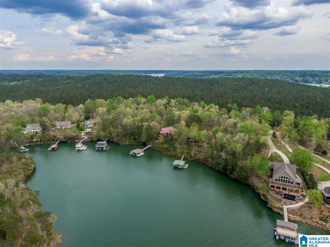 0 Sipsey Pines Road, Unit 132 Arley, AL 35541 - Photo 4 of 5