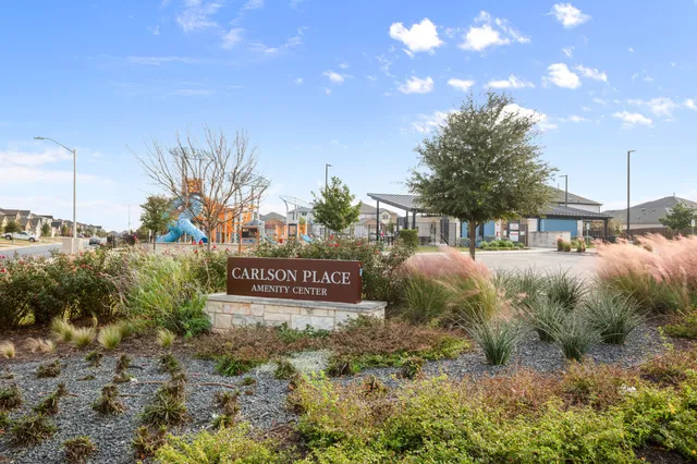 a view of a park that has large tree