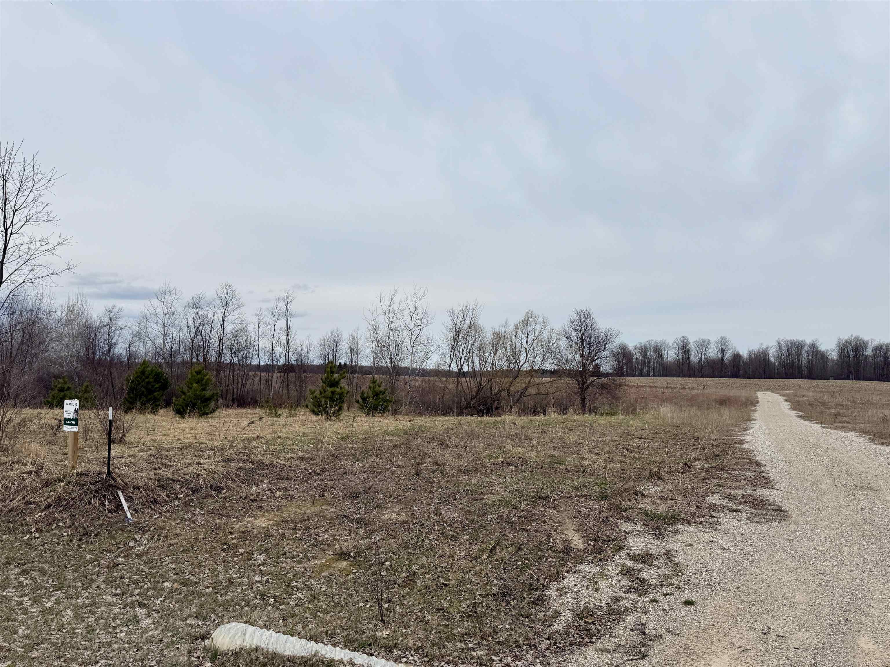 Gleaner Hall Road Kingsley, MI 49649 - Photo 19 of 21