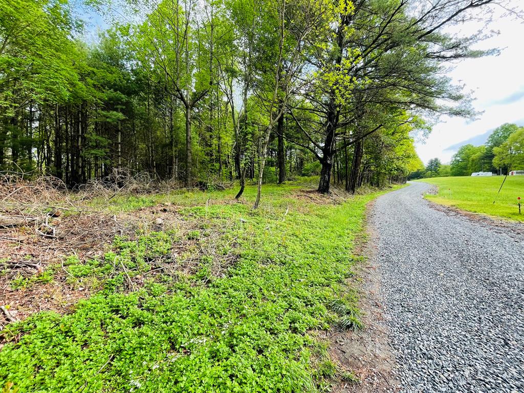 Tbd Thunder Hill Road Fancy Gap, VA 24328 - Photo 10 of 16 Gallery Image 10