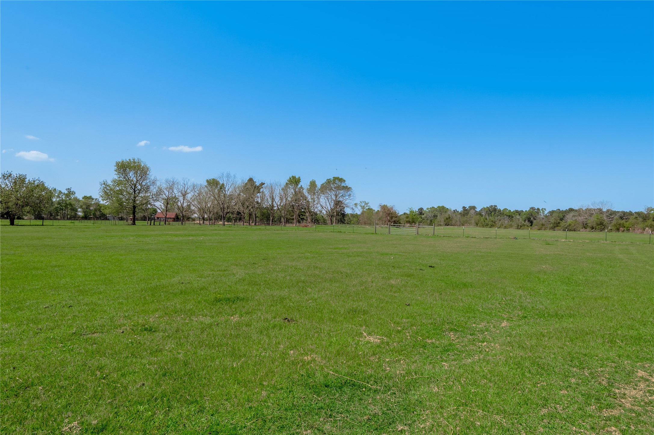 1490 Fm 230 Trinity, TX 75862 - Photo 29 of 42