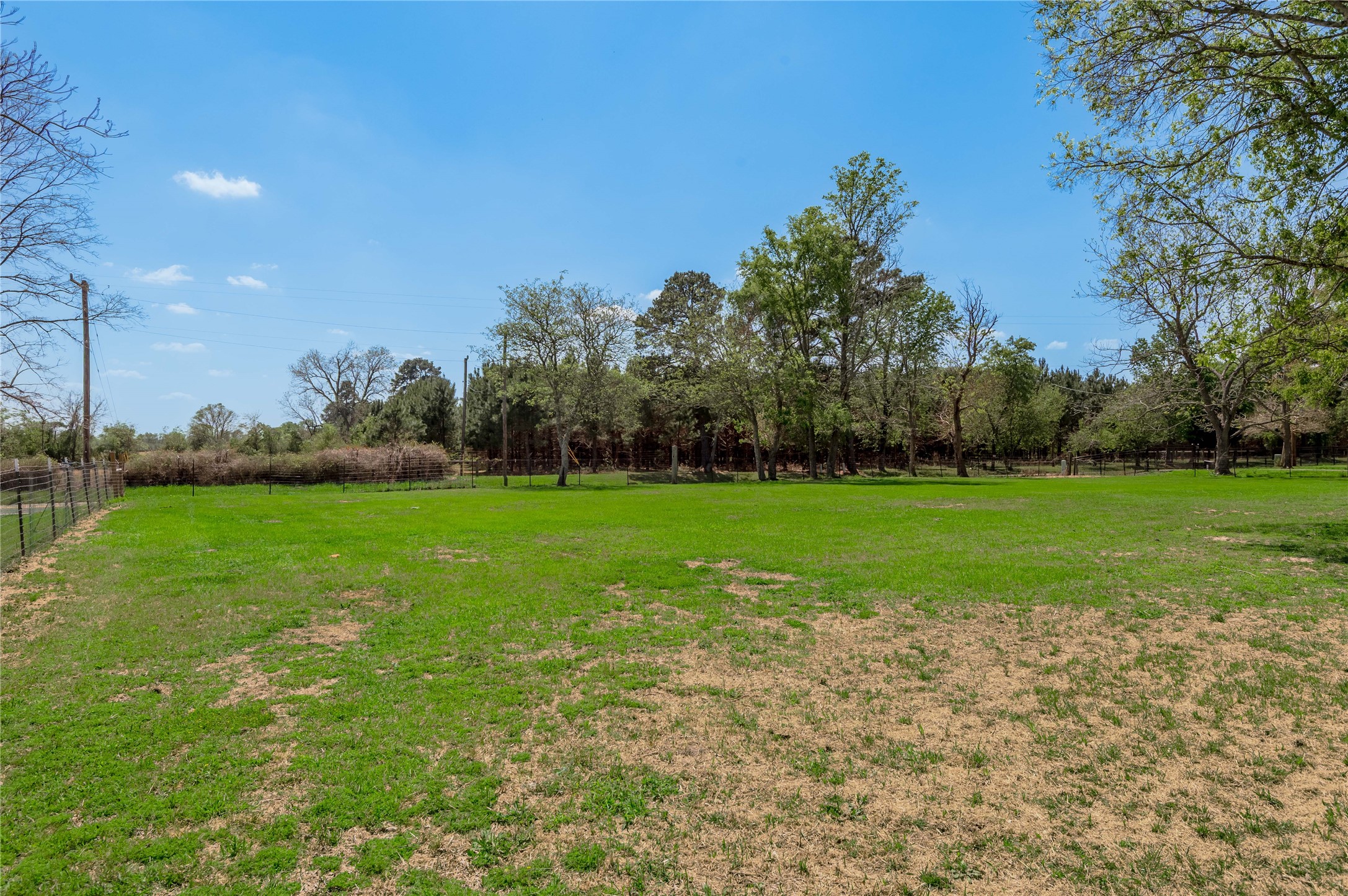 1490 Fm 230 Trinity, TX 75862 - Photo 31 of 42