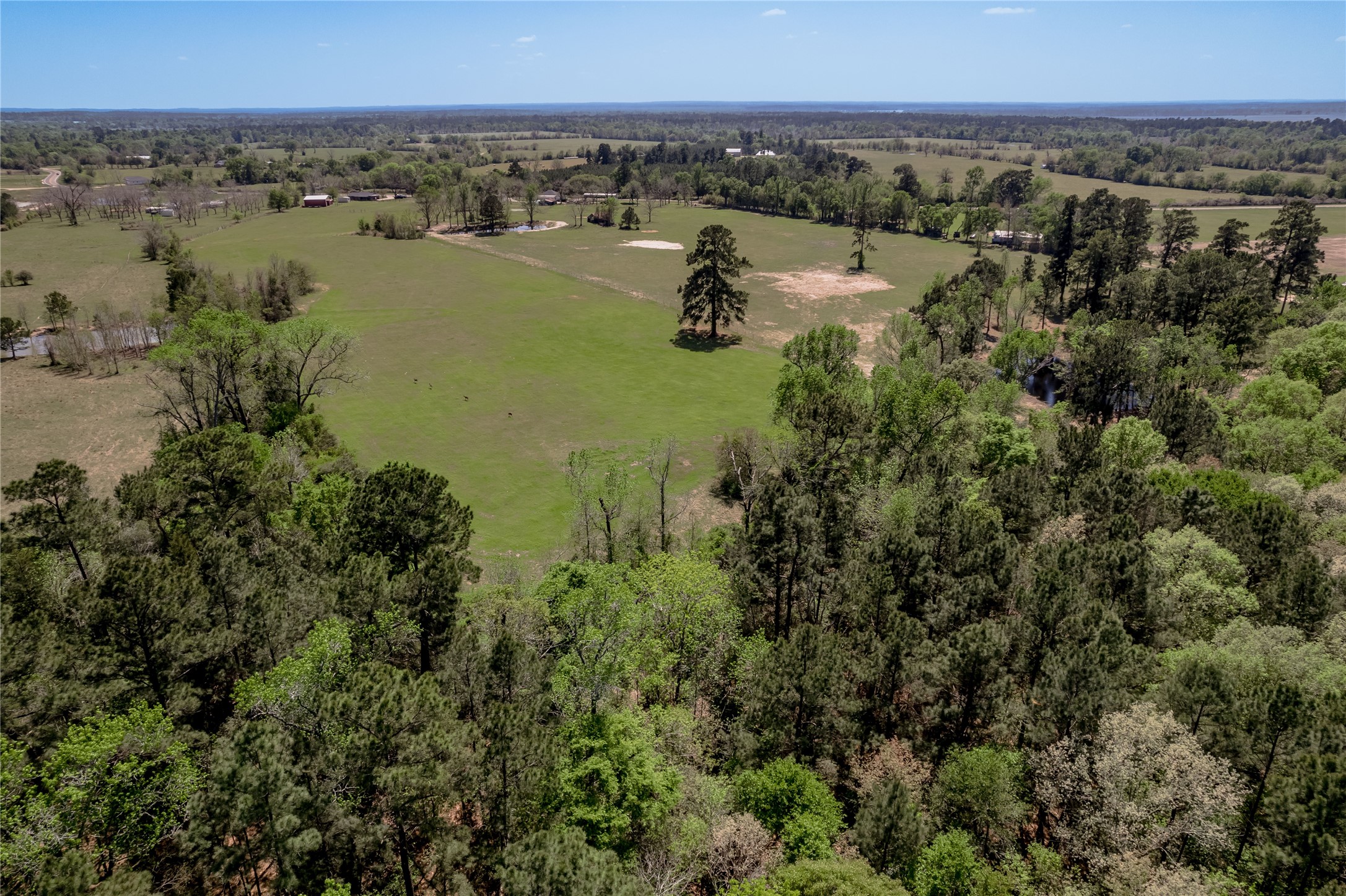 1490 Fm 230 Trinity, TX 75862 - Photo 39 of 42