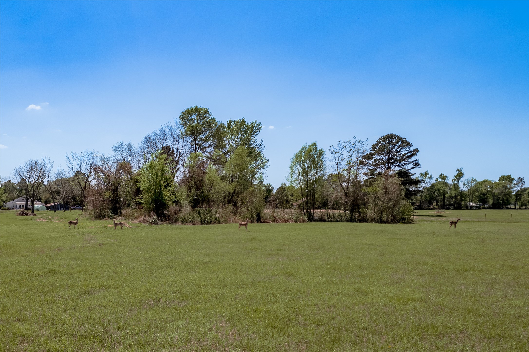 1490 Fm 230 Trinity, TX 75862 - Photo 41 of 42