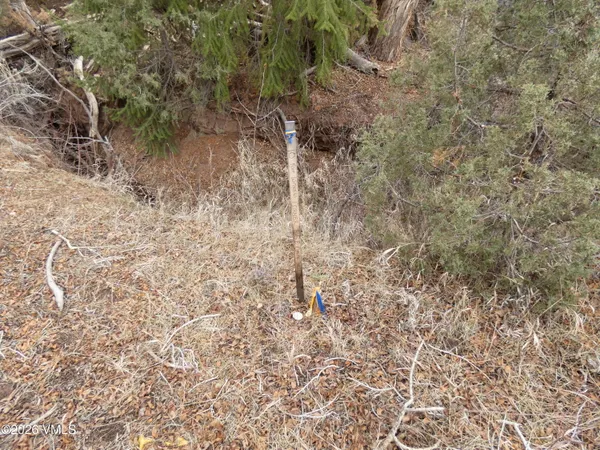 $300,000 | 1929 Copper Spur Road, Bond, CO 80423