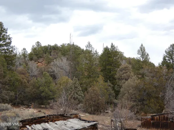 $300,000 | 1929 Copper Spur Road, Bond, CO 80423
