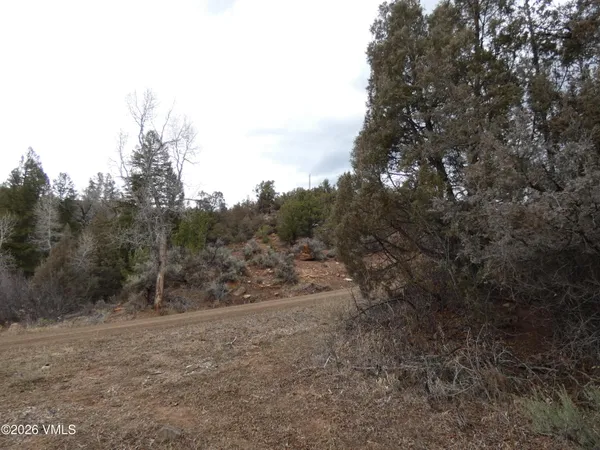 $300,000 | 1929 Copper Spur Road, Bond, CO 80423