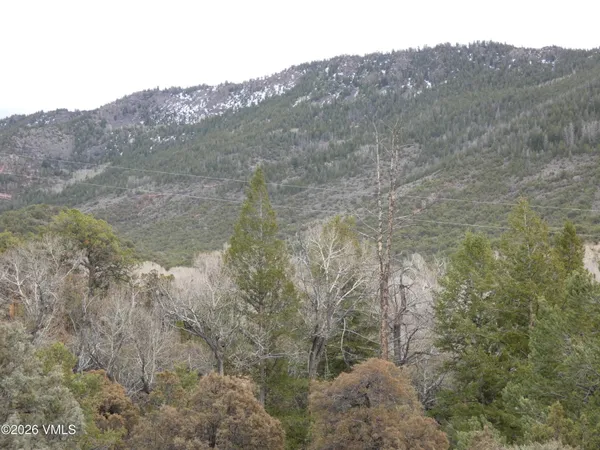 $300,000 | 1929 Copper Spur Road, Bond, CO 80423