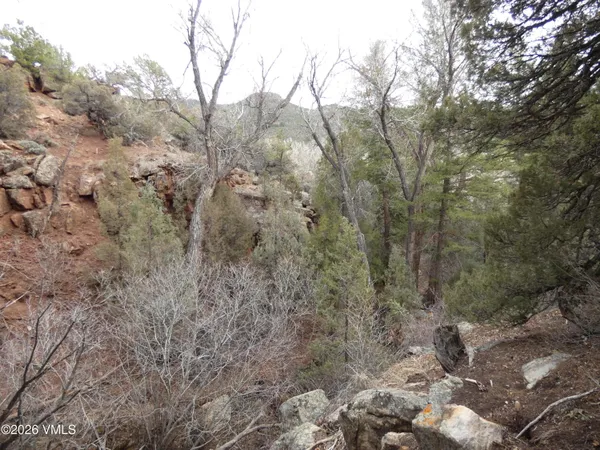 $300,000 | 1929 Copper Spur Road, Bond, CO 80423