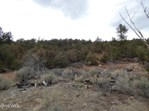 $300,000 | 1929 Copper Spur Road, Bond, CO 80423