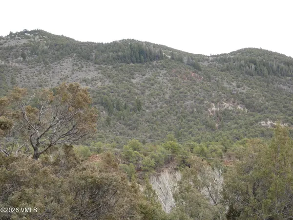 $300,000 | 1929 Copper Spur Road, Bond, CO 80423