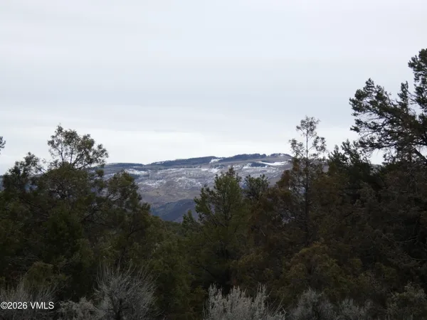 $300,000 | 1929 Copper Spur Road, Bond, CO 80423