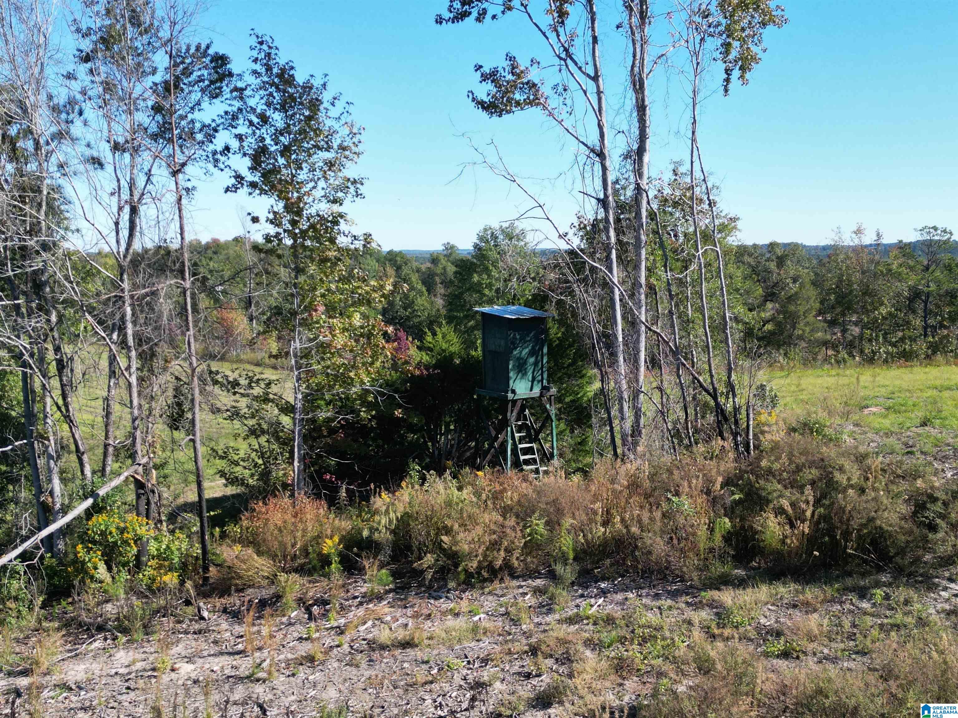 0 Payne Lk Road, Unit 1 Brent, AL 35034 - Photo 2 of 9