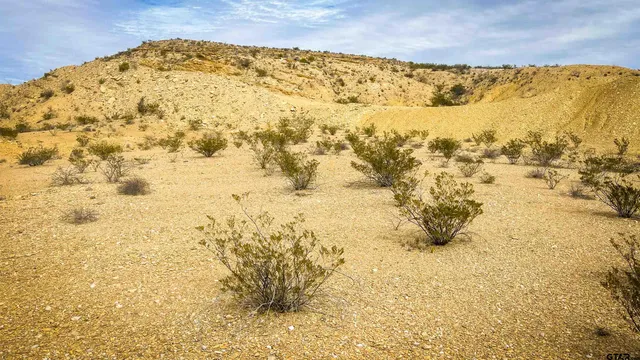 $8,000 | 201 South Rodriquez, Alpine, TX 79830