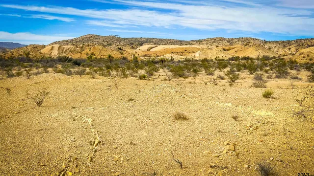 $8,000 | 201 South Rodriquez, Alpine, TX 79830