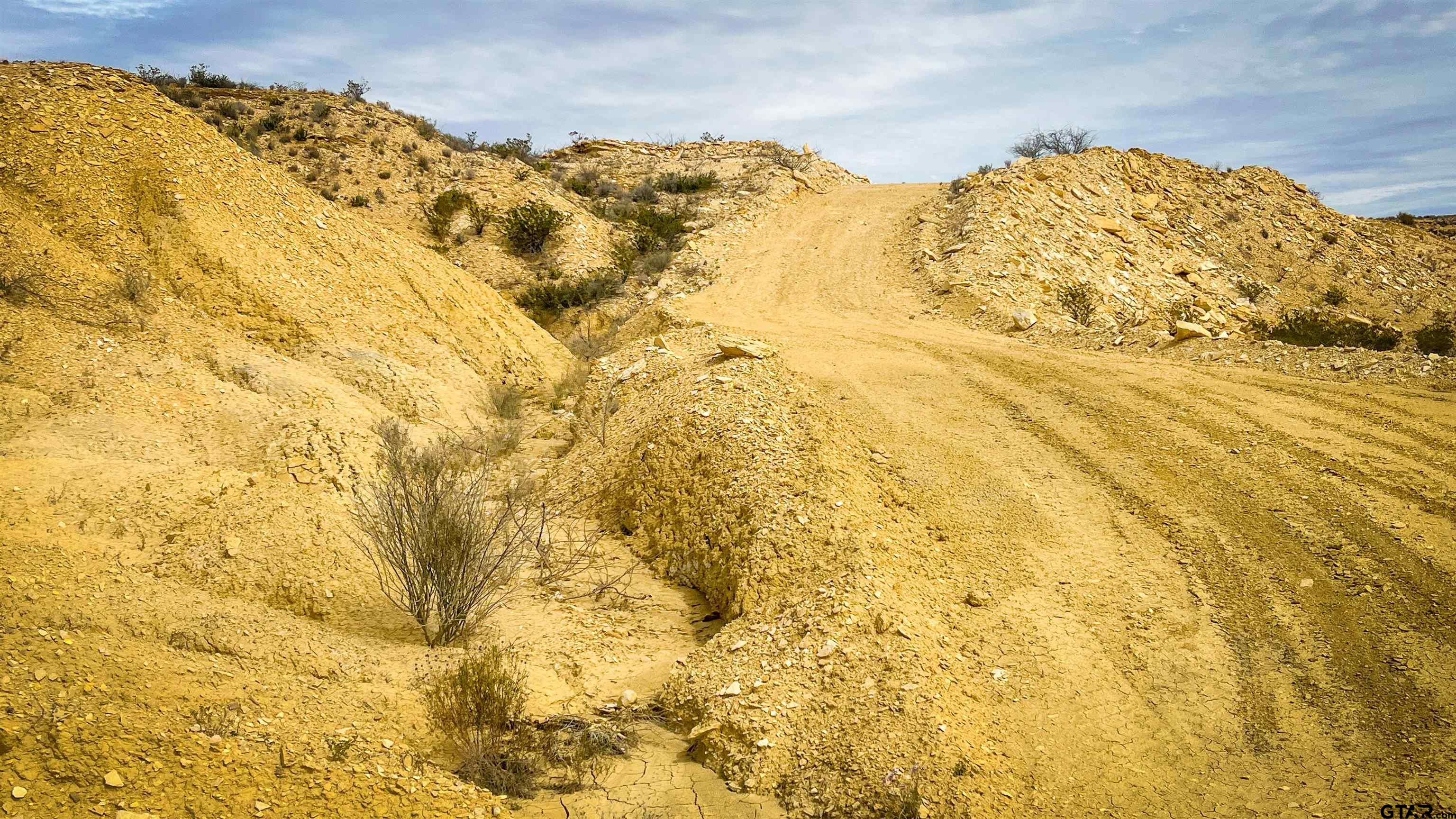 201 South Rodriquez Alpine, TX 79830 - Photo 8 of 8