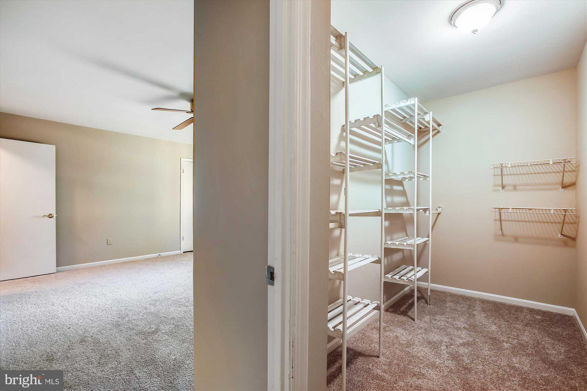 11042 Saffold Way Reston, VA 20190 - Photo 28 of 50 Walk-in Closet Space