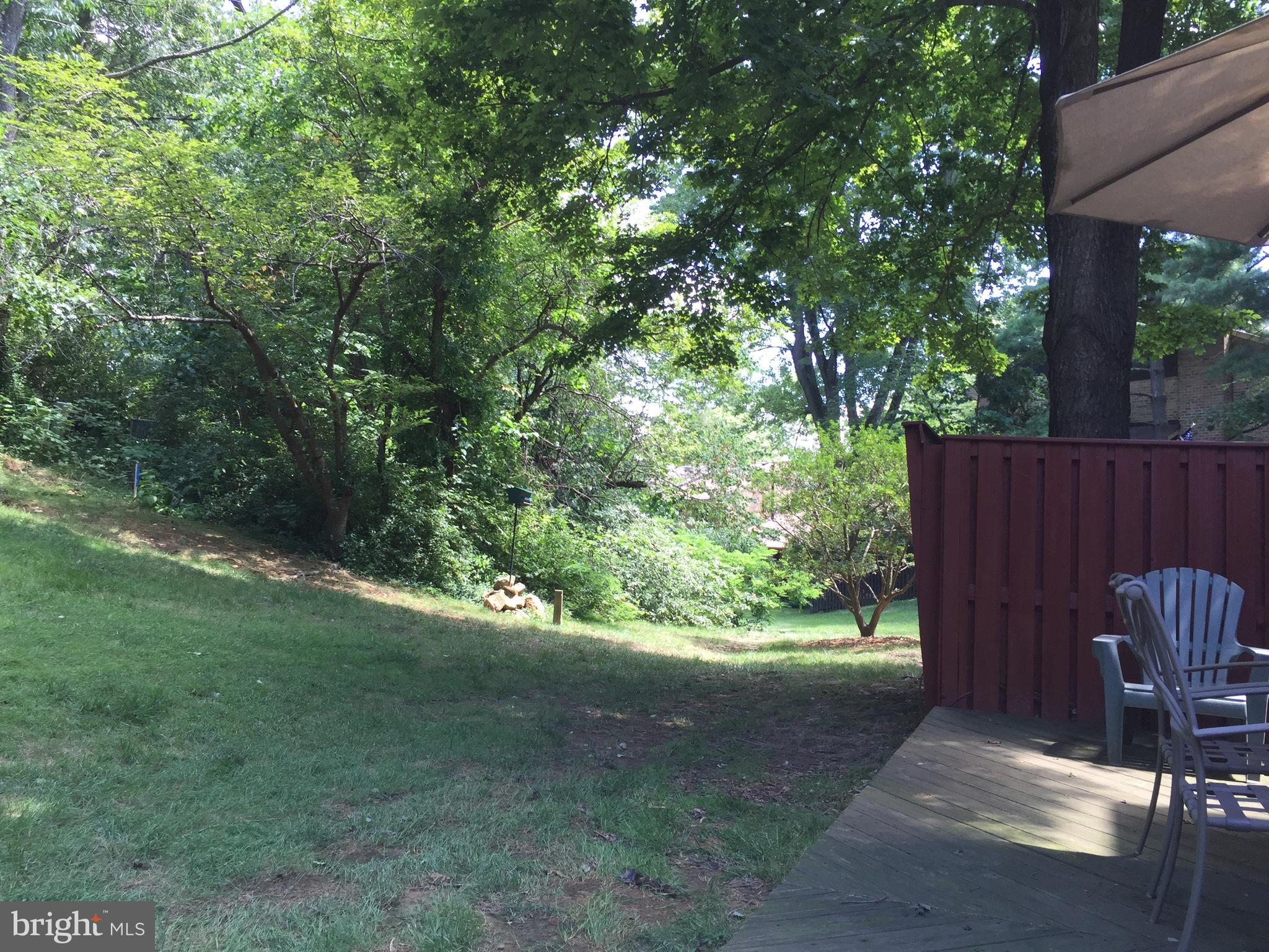 11042 Saffold Way Reston, VA 20190 - Photo 47 of 50 Deck View - Summer