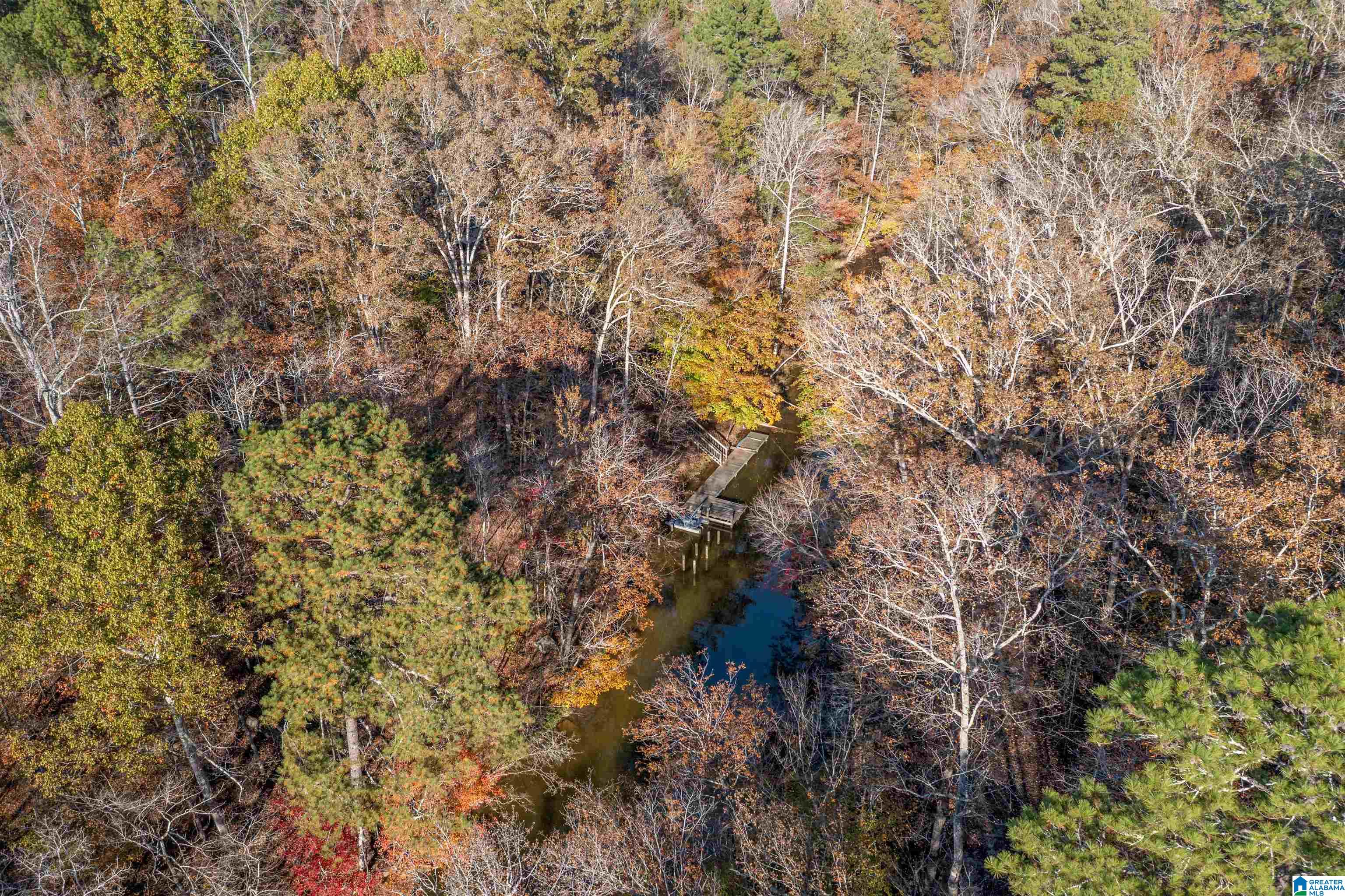 1595 Mohawk Cliff Road Ohatchee, AL 36271 - Photo 41 of 65