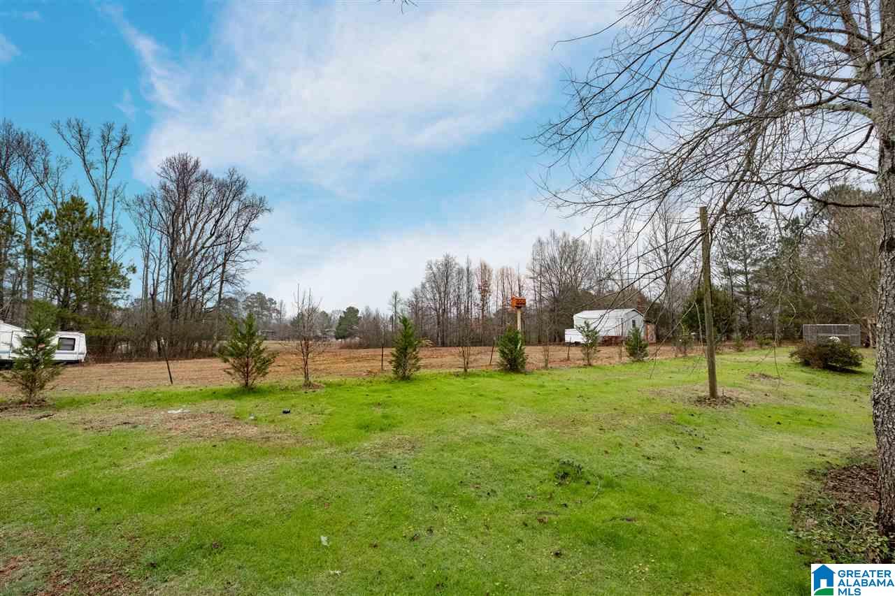 2481 County Road 29 Oneonta, AL 35121 - Photo 22 of 35