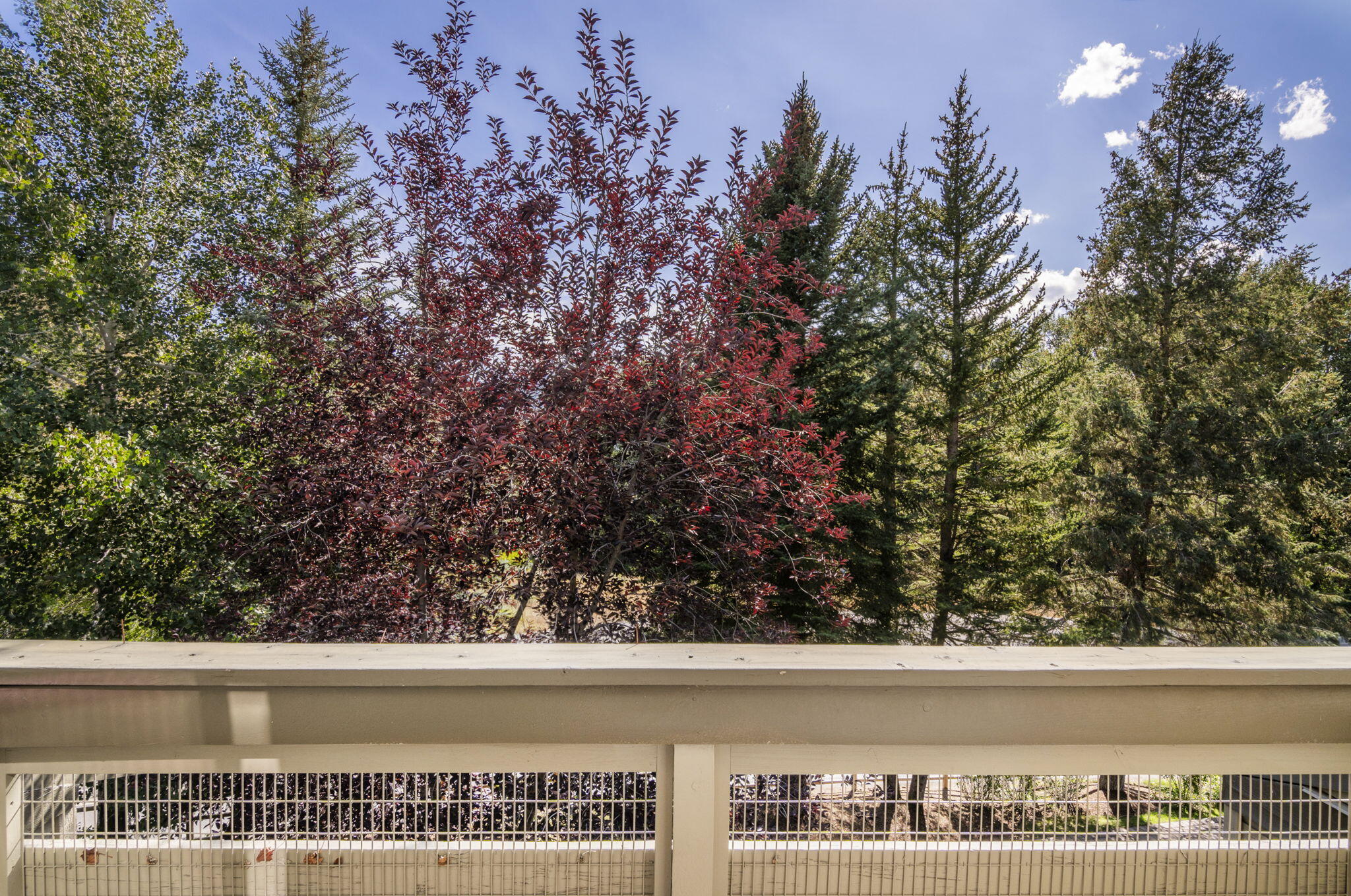 1394 Dollar Meadow, Unit 44 Sun Valley, ID 83353 - Photo 13 of 14 Views from Guest Room
