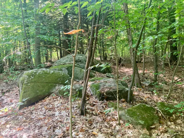 $75,000 | L64 River Road, Riparius, NY 12862