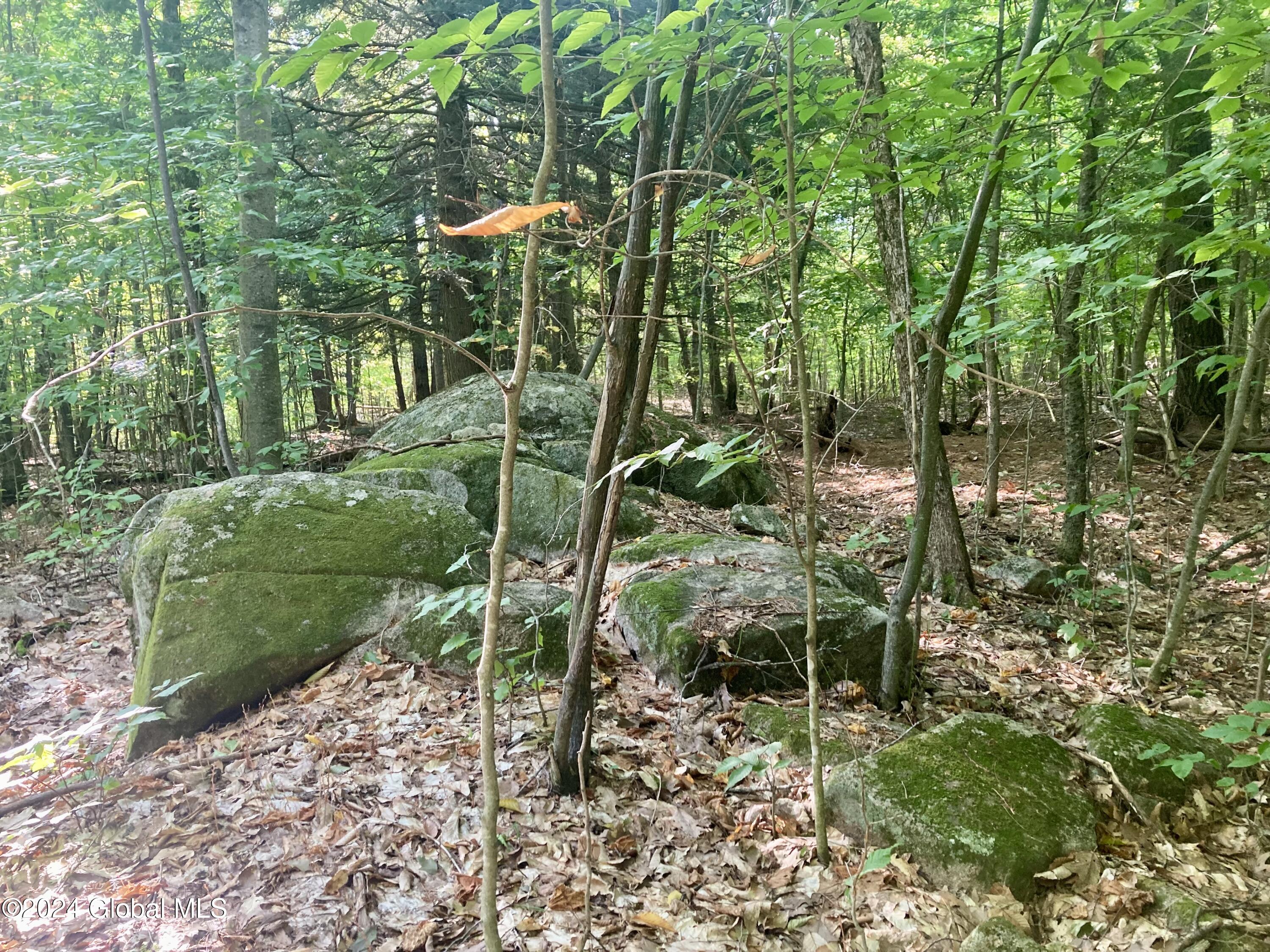 L64 River Road Riparius, NY 12862 - Photo 12 of 21 IMG_1411