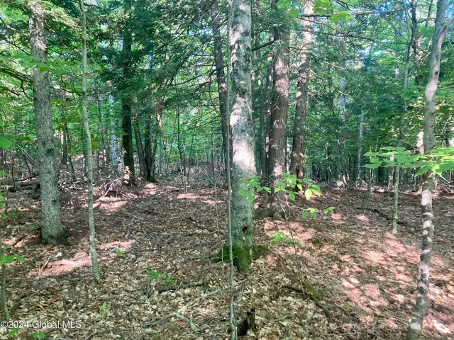 $75,000 | L64 River Road, Riparius, NY 12862