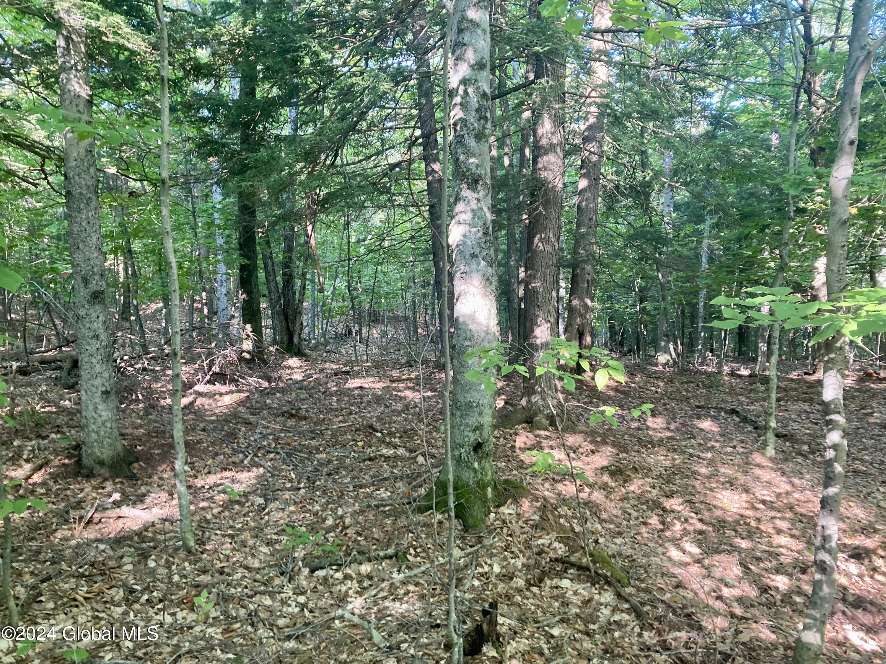 L64 River Road Riparius, NY 12862 - Photo 13 of 21 IMG_1412