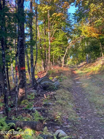 $75,000 | L64 River Road, Riparius, NY 12862