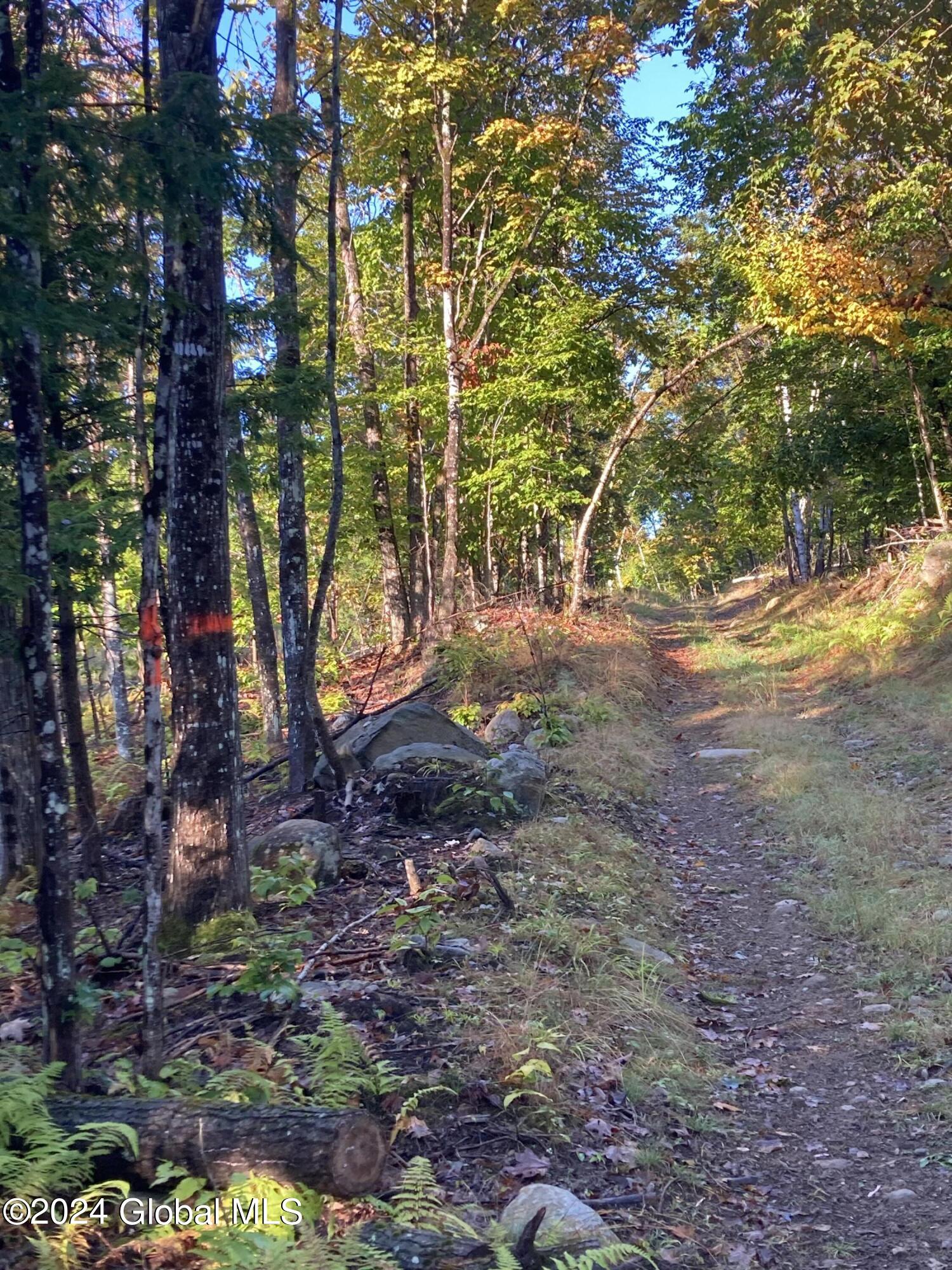 L64 River Road Riparius, NY 12862 - Photo 15 of 21 IMG_1495