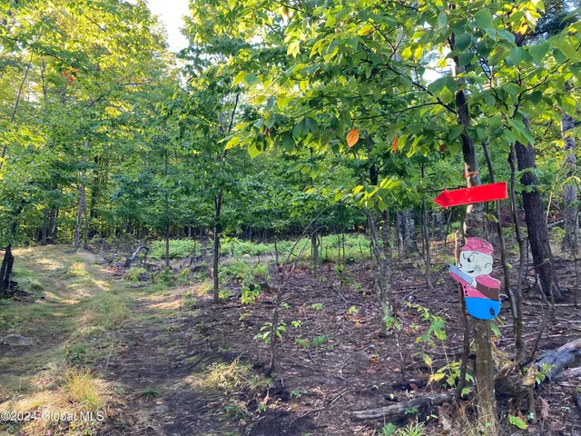 $75,000 | L64 River Road, Riparius, NY 12862