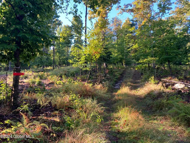 $75,000 | L64 River Road, Riparius, NY 12862