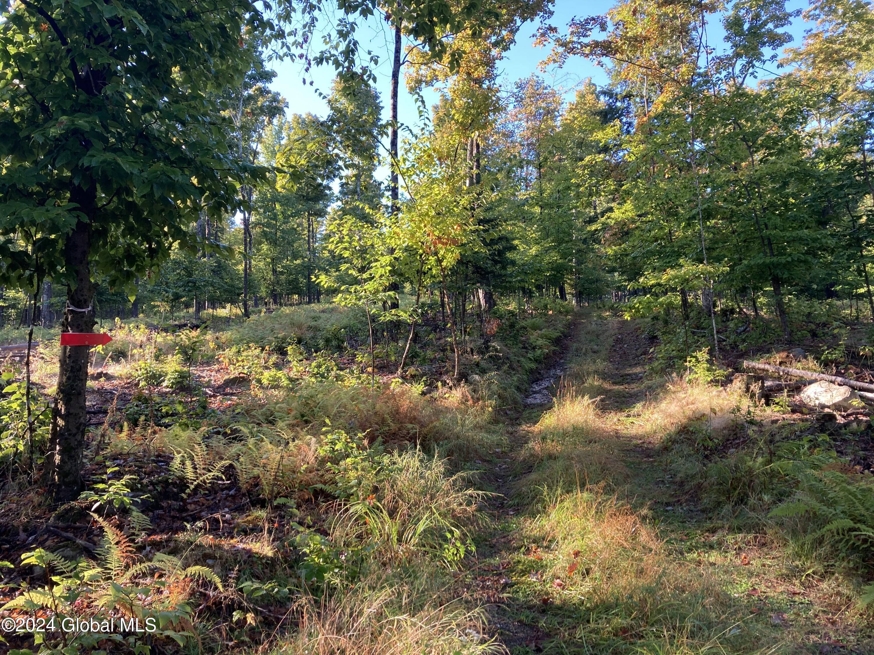 L64 River Road Riparius, NY 12862 - Photo 18 of 21 IMG_1507