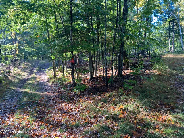 $75,000 | L64 River Road, Riparius, NY 12862