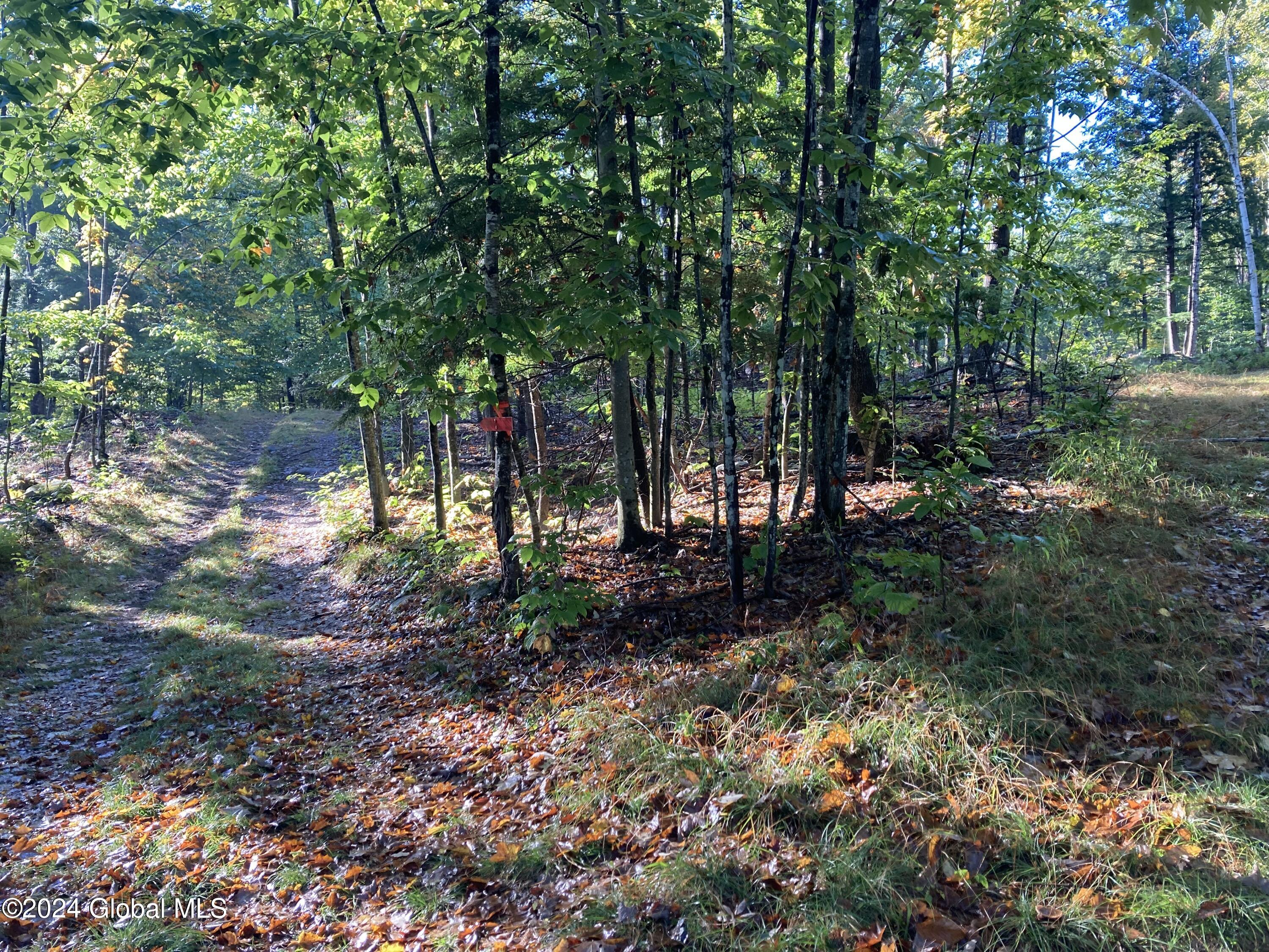 L64 River Road Riparius, NY 12862 - Photo 19 of 21 IMG_1508