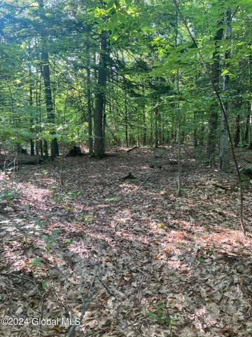 $75,000 | L64 River Road, Riparius, NY 12862