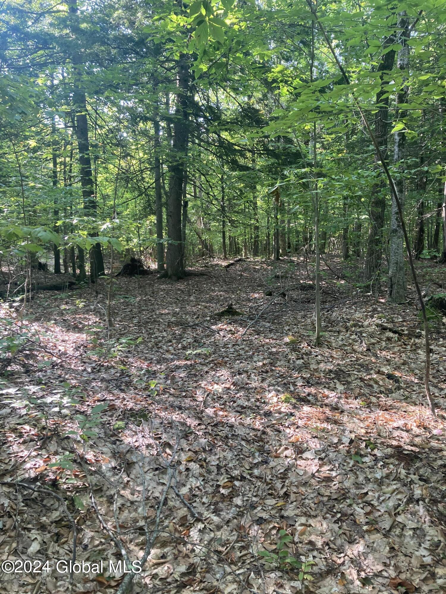 L64 River Road Riparius, NY 12862 - Photo 20 of 21 IMG-1413