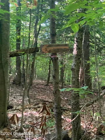 $75,000 | L64 River Road, Riparius, NY 12862