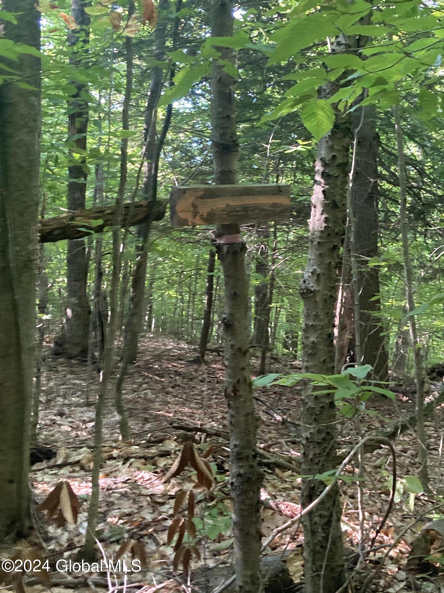 L64 River Road Riparius, NY 12862 - Photo 21 of 21 IMG-1414