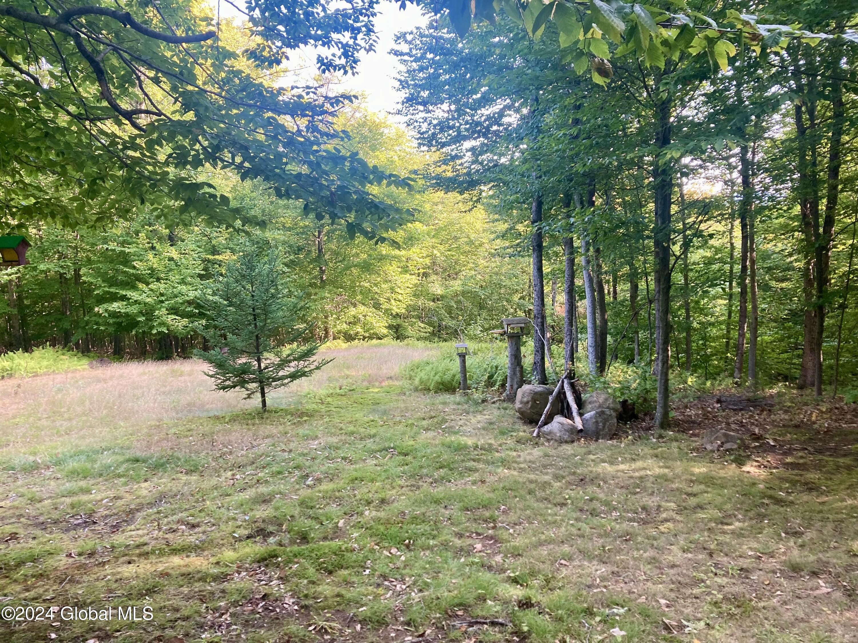 L64 River Road Riparius, NY 12862 - Photo 9 of 21 IMG_1408