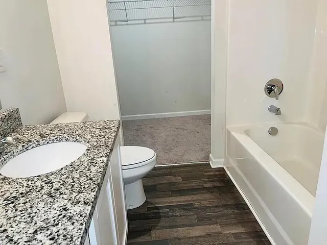 a bathroom with a toilet and a bathtub