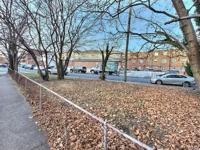 a street view with tall trees