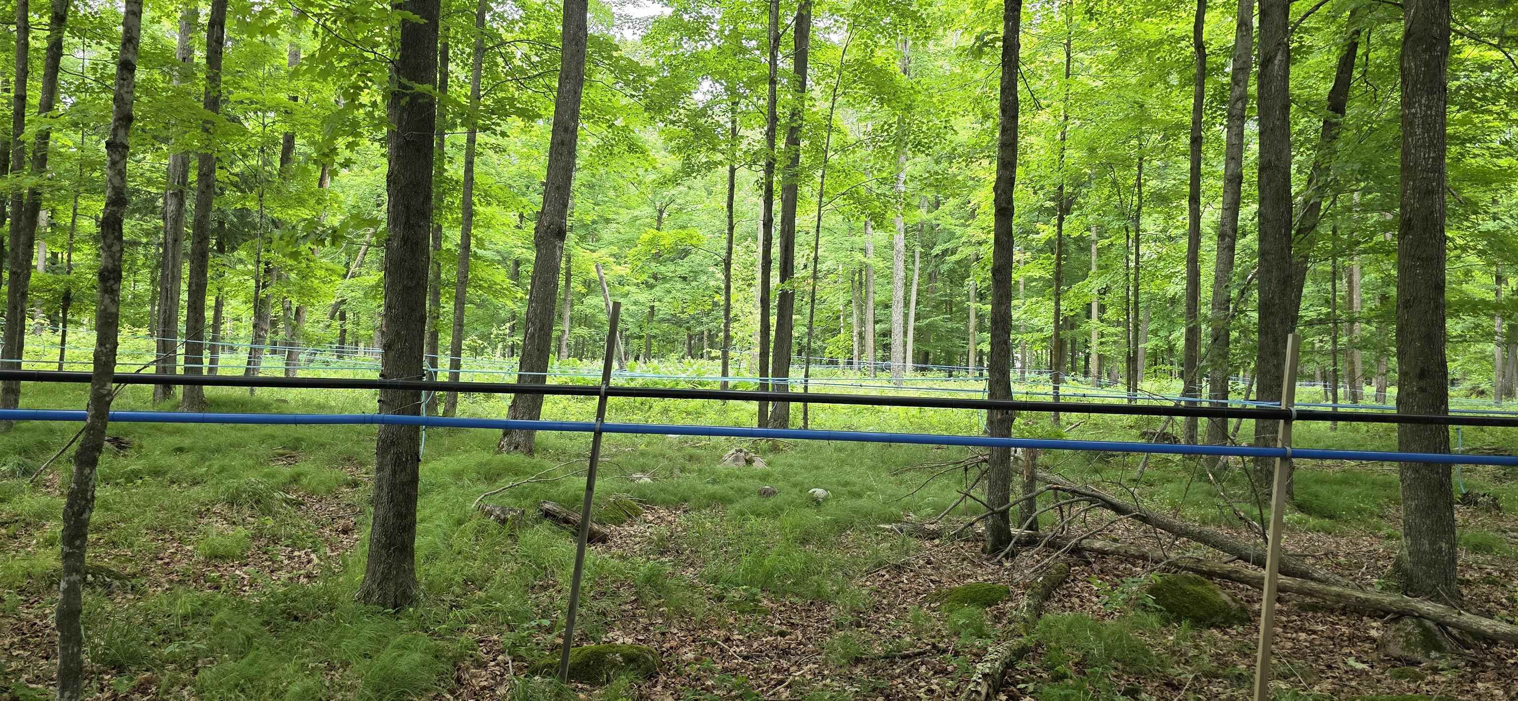 Springbrook Road Tigerton, WI 54486 - Photo 56 of 56