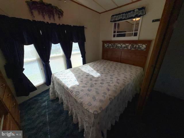 389 Seahawk Lane Berlin, MD 21811 - Photo 22 of 42 Bedroom #1.