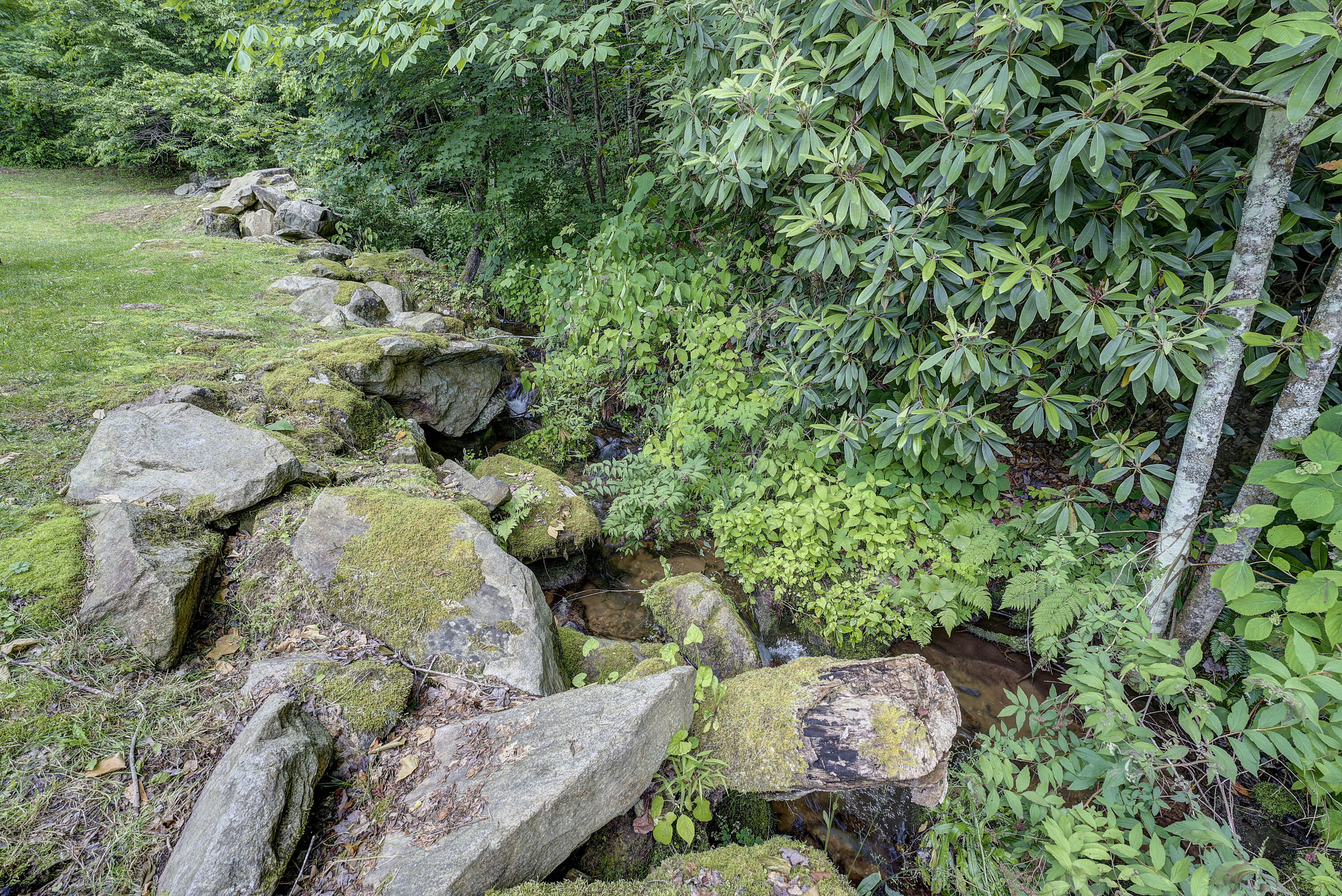 2801 Fall Branch Road Mountain City, TN 37683 - Photo 7 of 42 Fall-25